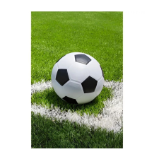 Jerry Fabrics Focis polár takaró lakástextília