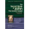 Jewish Lights Publishing Secret Book of John | Stevan Davies