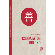 Jezsuita Könyvek Csodálatos Bolond regény