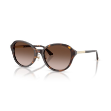 Jimmy Choo JC5044D 500213 HAVANA GRADIENT BROWN napszemüveg napszemüveg