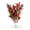 JK | Red Ludwigia | Piros Ludwigia, műnövény dekoráció - 13-16 cm