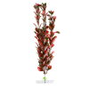 JK | Red Ludwigia | Piros Ludwigia, műnövény dekoráció - 25-28 cm