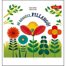  Jó reggelt, pillangó! gyermek- és ifjúsági könyv