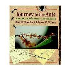  Journey to the Ants – Bert Wilson Hoelldobler idegen nyelvű könyv