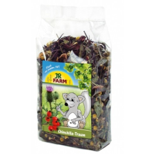 JR Farm JR Farm - Csincsilla Álom 75g kisállatfelszerelés
