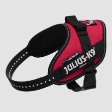 Julius-K9 B:Julius-K9 Powerhám felirattal (Viva magenta) kutyák részére (mini méret) nyakörv, póráz, hám kutyáknak