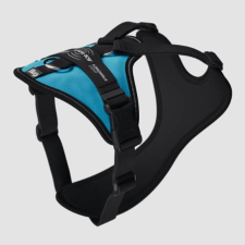 Julius-K9 JK9 Longwalk Light kutyahám okoseszköz-tartó hámfelírattal, aquamarine, XL nyakörv, póráz, hám kutyáknak