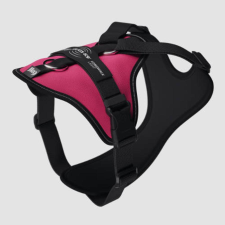 Julius-K9 JK9 Longwalk Light kutyahám okoseszköz-tartó hámfelírattal, sötét pink, M nyakörv, póráz, hám kutyáknak