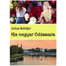Julius Schäfer - Kis magyar Odüsszeia regény