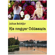  Julius Schäfer - Kis magyar Odüsszeia regény