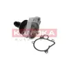 KAMOKA Vízszivattyú, motorhűtés T0062