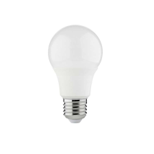 Kanlux RAPIDv2 LED 22944 4,9W E27 4000K 500Lm led izzó