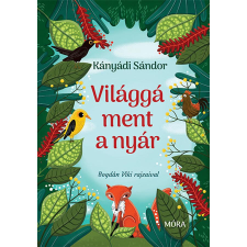 Kányádi Sándor Világgá ment a nyár - új formátum gyermek- és ifjúsági könyv