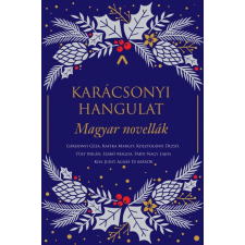 Karácsonyi hangulat regény