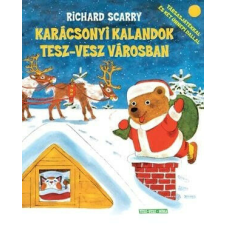 Karácsonyi kalandok Tesz-vesz városban gyermek- és ifjúsági könyv
