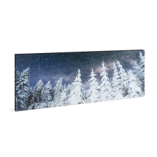  Karácsonyi LED-es fenyves falikép 70x30cm 58480B grafika, keretezett kép