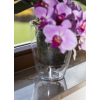  Kaspó orchidea Miltonia crystal 1,58L Szín: Átlátszó