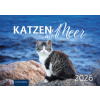  Katzen am Meer 2026 (Kalendář/Diář)