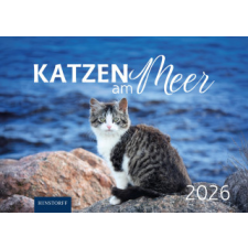  Katzen am Meer 2026 (Kalendář/Diář) naptár, kalendárium