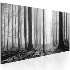 Kép - Black and White Forest 150x50 grafika, keretezett kép