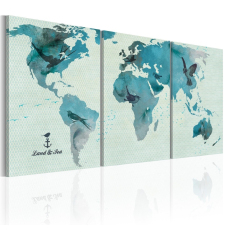 Kép - falitérkép - Madártani map of the World Világtérkép madarakkal 60x30 térkép