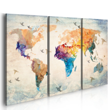  Kép - Free as a bird - triptych 60x40 térkép