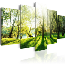 Kép - Green Glade 100x50 grafika, keretezett kép