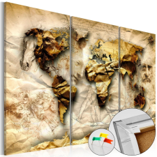  Kép parafán - Anatomy of the World [Cork Map] Parafa világtérkép - vászonkép 60x40 térkép