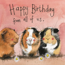  Képeslap Alex Clark borítékkal, 14x14 cm, Hörcsögök HBD party kellék