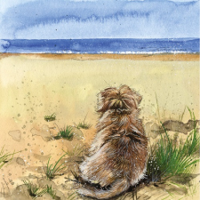 Képeslap Alex Clark borítékkal, 14x14 cm, kutya tengerparton képeslap