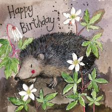  Képeslap Alex Clark borítékkal, 14x14 cm, süni HBD party kellék