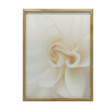 KERET FALI PLAKÁT BLACK ESSENTIAL ROSES 40x50 CM MATT grafika, keretezett kép