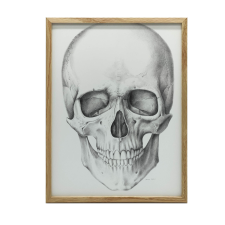 KERET FALI PLAKÁT KOPONYA ANATÓMIAI NAGY 30X40 CM grafika, keretezett kép