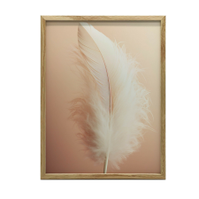 KERET FALI PLAKÁT TOLL SÖTÉTBARNA 50x70 CM MATT PAPÍR grafika, keretezett kép