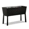 KETER KETER EASY GROW polyrattan virágláda - barna