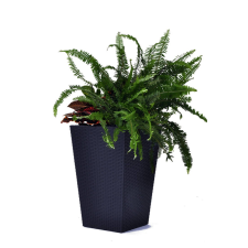 KETER RATTAN PLANTER "M" műanyag virágtartó - grafit kerti dekoráció