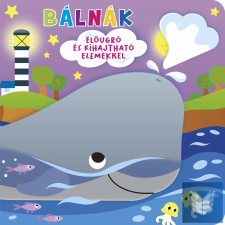 Ki bújt el? Bálnák gyermek- és ifjúsági könyv