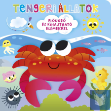 Ki bújt el? Tengeri állatok gyermek- és ifjúsági könyv