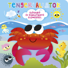  Ki bújt el? Tengeri állatok gyermek- és ifjúsági könyv