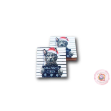KICSI NÉGYZET- CICA - BÖRTÖN 5X5CM dekorációs kellék