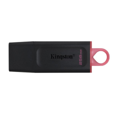 Kingston 256GB USB3.2 DataTraveler Exodia (DTX/256GB) Flash Drive pendrive