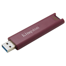  KINGSTON Pendrive 256GB, DT Max 1000R/900W USB Type-A 3.2 Gen 2 pendrive