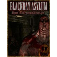 KISS ltd Blackbay Asylum (PC - Steam elektronikus játék licensz) videójáték