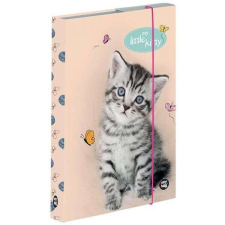  Kitty cicás füzetbox - A5 füzetbox