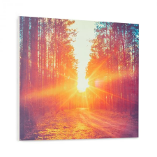 Klarstein Wonderwall Air Art Infinite, infravörös hősugárzó, kép, 60 x 50 cm, 300 W, falra, távirányító hősugárzó