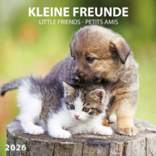  Kleine Freunde/Little Friends 2026 naptár, kalendárium