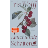 Klett-Cotta Verlag Leuchtende Schatten | Iris Wolff