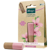 Kneipp Mandle Lip Care 4,7 g
