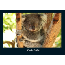  Koala 2026 Fotokalender DIN A4 (Kalendář/Diář) naptár, kalendárium
