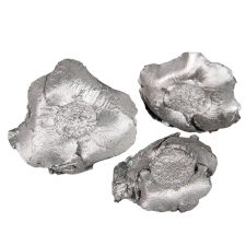  Kókusz virág szárított - ezüst 5db/cs dekorációs kellék